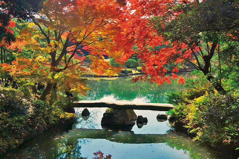 🏞️ 촌장의 폭포 공원 (나누시노타키 코엔) 이미지 8